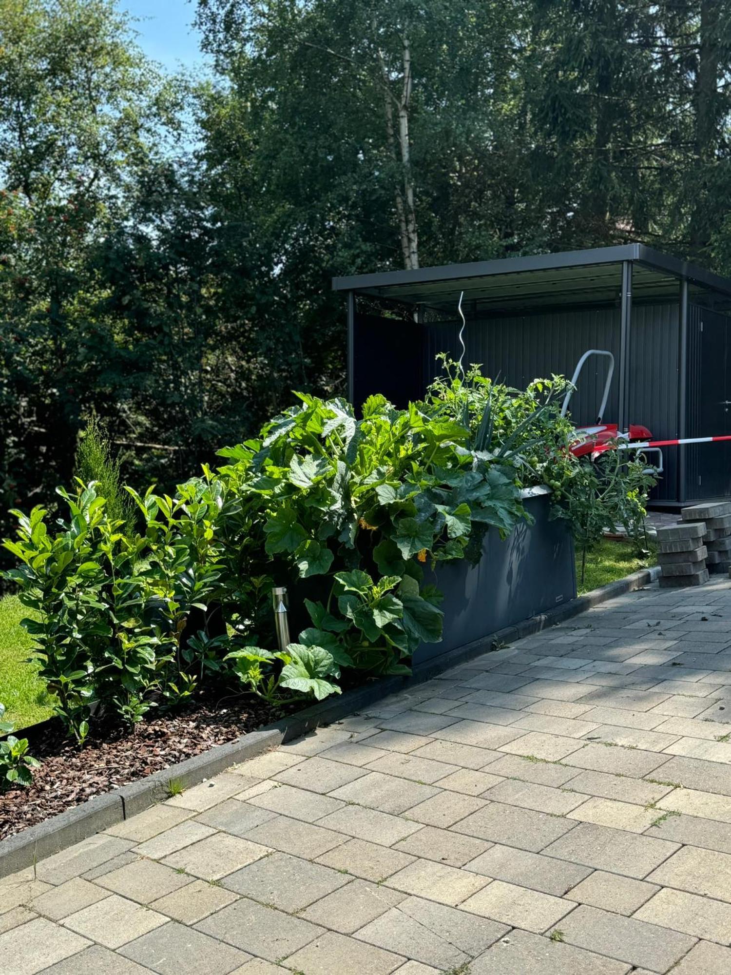 Appartement Max Clausthal-Zellerfeld Exteriér fotografie