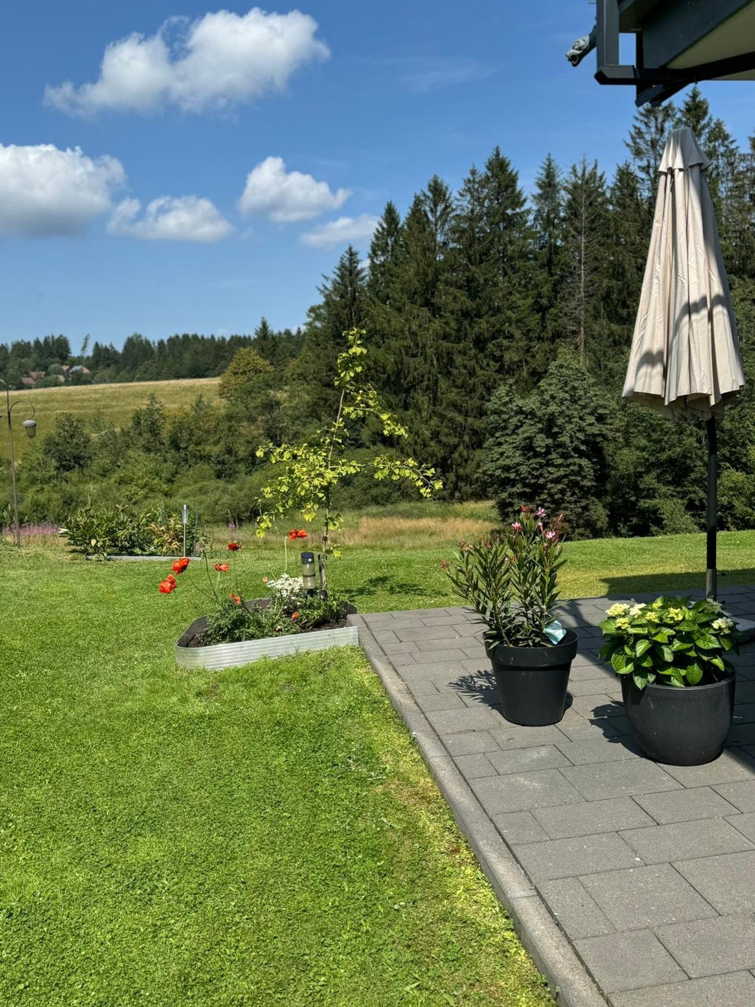 Appartement Max Clausthal-Zellerfeld Exteriér fotografie