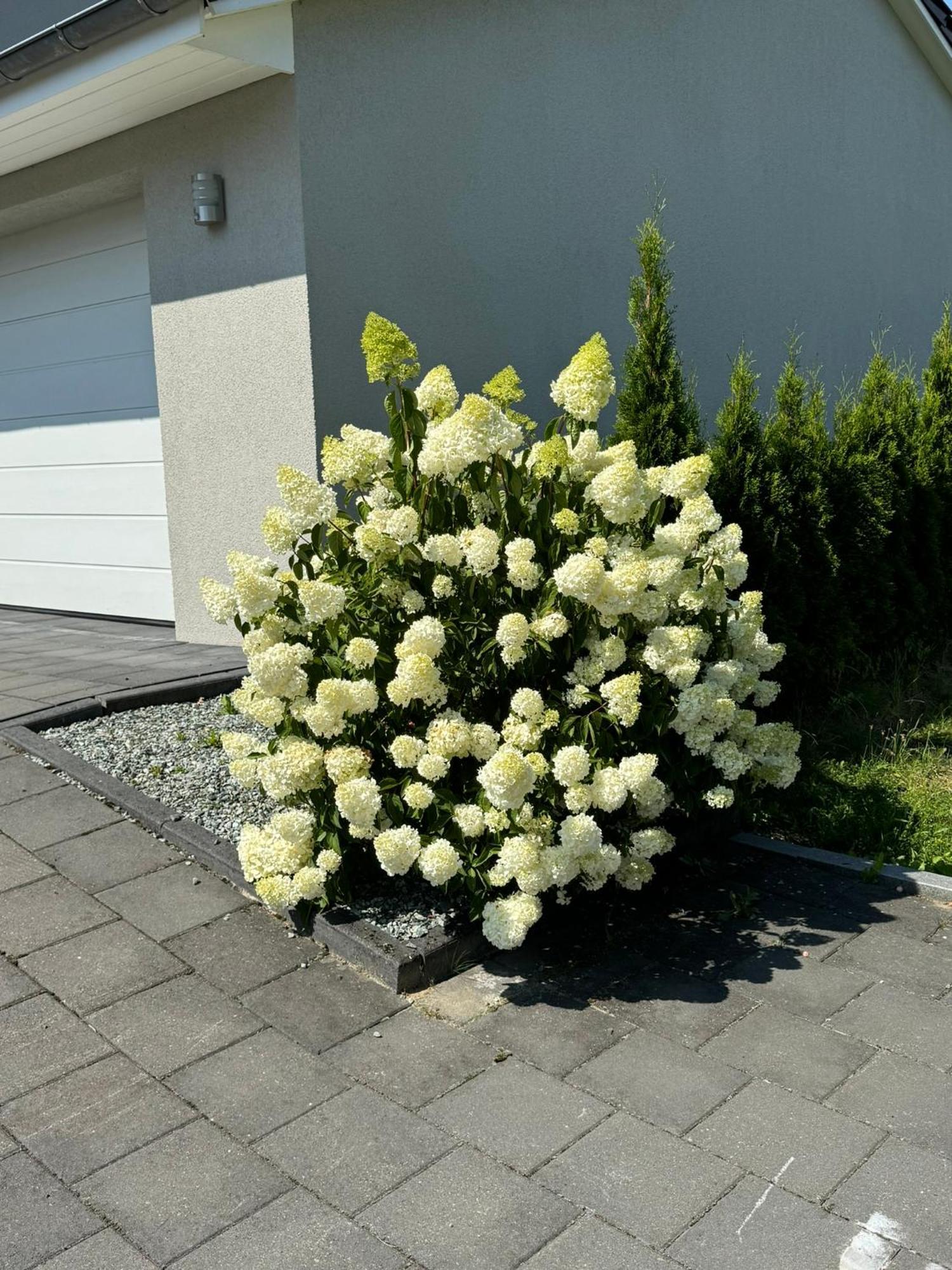 Appartement Max Clausthal-Zellerfeld Exteriér fotografie